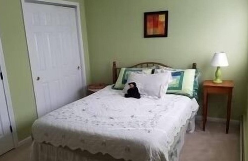 East Burke Condo | Winter Ski on / Ski Off Mountainside Condo - Mountain Bikers too!