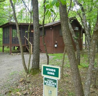 The Woods House | Woods Song - Hot Tub - Pet Friendly - Wifi - King Bed - Woods Resort - Golf Nearby - Pool Pass - Spa - Grill - Fireplace