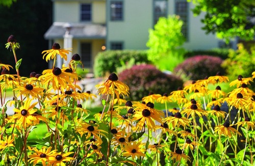 Francestown Condo | Wyndham Crotched Mountain Resort - Huge 2 Bedroom