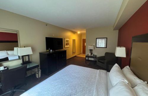Spenard Hotel | Wyndham Garden Anchorage Airport