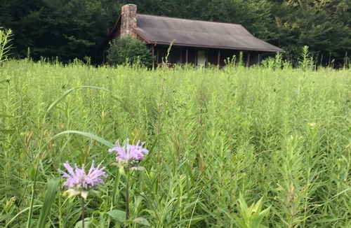 Leadsville House | Your Adventure Awaits! Breathtaking views and Private River Access!