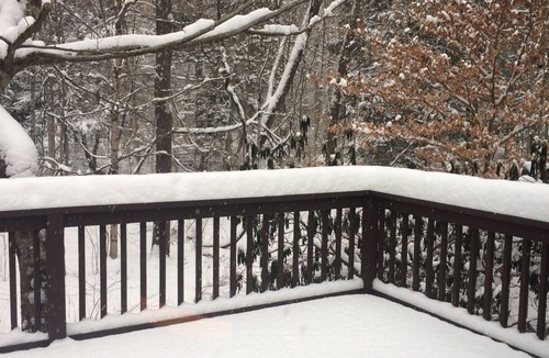 Leadsville House | Your Adventure Awaits! Breathtaking views and Private River Access!