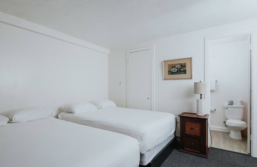 Waikiki Hotel | Your Next Favorite Getaway Starts Right Here! Outdoor Pool, Pets Are Welcome!