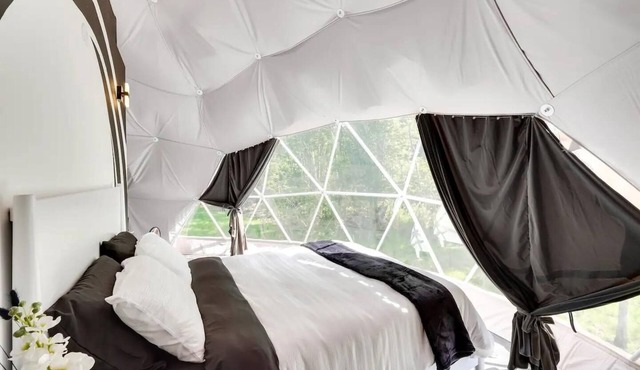 007 Geodome - Unique Escapes "007" Luxury Camping Geo-Dome!
