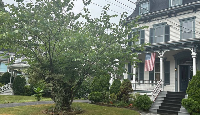1 Br Private Victorian Apt in convenient City location on half acre sleeps 4