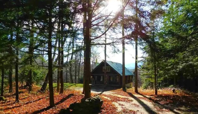 10 min from Stratton! Log Cabin w/Beautiful Views