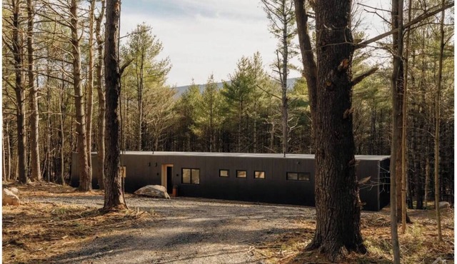 100ft of Forest Light - Modern Catskills Escape