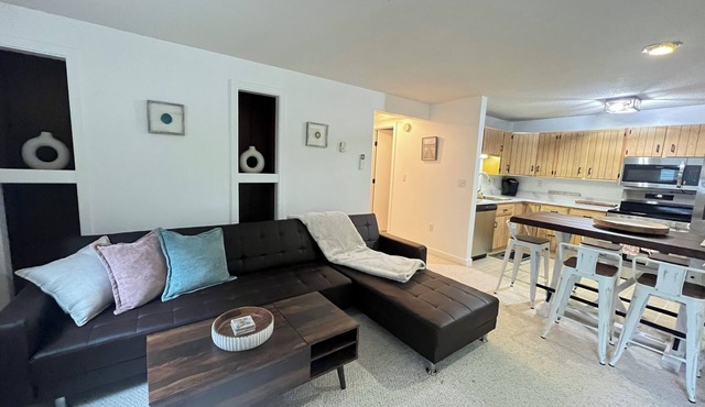 1BR apartment next to the Pleasant Mountain with waterfront access