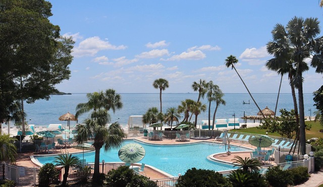 2 Breathtaking Units | St. Pete Adventure & Outdoor Activities | Tampa Bay Views