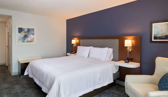 2 Elegant King Room Near Capitol Hill & Downtown Washington Nightlife