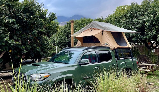 2021 Toyota Tacoma with a Rooftop Tent and all the camping gear!
