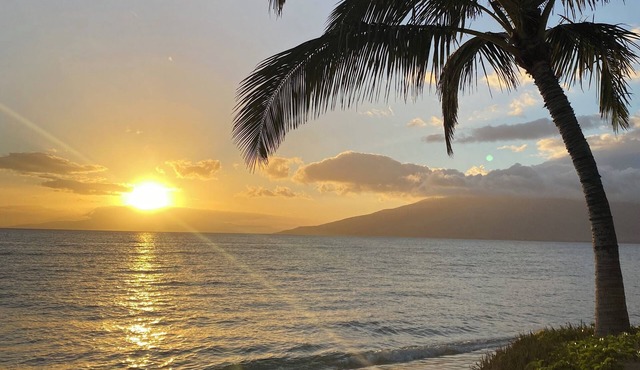 2BR/1BA BEACHFRONT GREAT LOCATION July 2026-Sept 2026 Discounted!