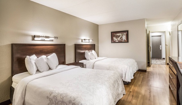 3 Great Units for Families! Pet-Friendly Property, Short Drive to Medford Square