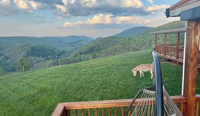 360° Mountain Views! 1 mile off 77, Pride’s Mountain Guest House and Farm Stay