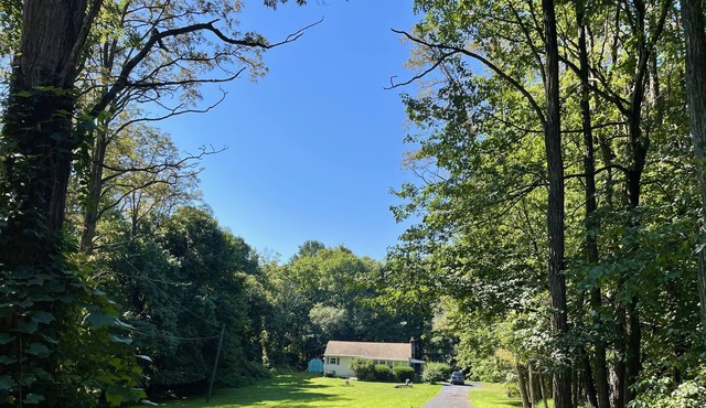 3BR/2BA (+studio) with Yard in Beautiful Wooded Cold Spring neighborhood