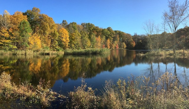 4,000 SF Country House on 26 Acres, totally secluded with 9 Acre Pond