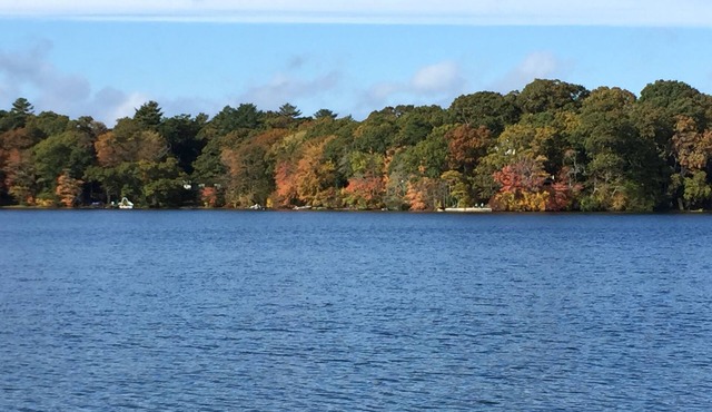 4+ Acre Pond Front Retreat, Basketball Court