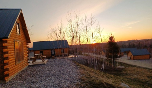 #41 - Flagpole View Cabins - King Cabin