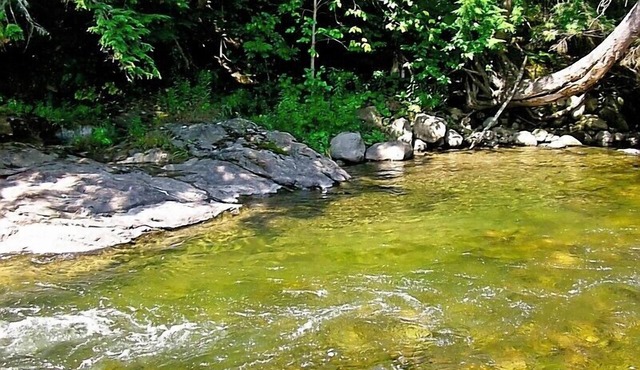 6 Acres Of River Front Heaven, booking summer and fall 2025!