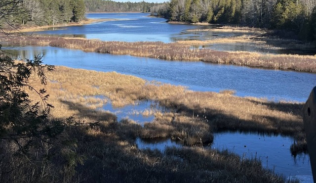 A perfect getaway in beautiful Maine