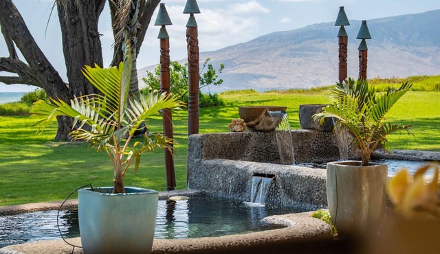 Aloha Aku Honu Suite – Experience the Spirit of Aloha