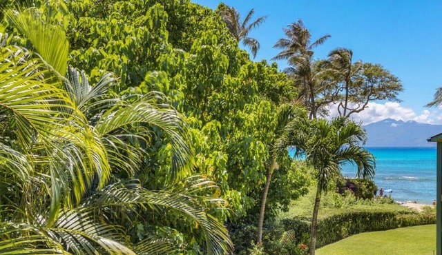 Aloha Condos, Napili Bay Resort, Condo 217, Beach View