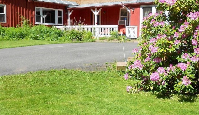 Amazing People & Pet-Welcoming Country Haven