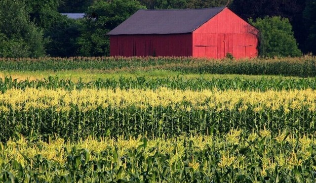 Amherst, Perfect Location, UMass, Smith, MHC!
