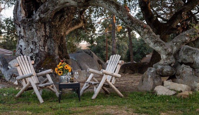 Apple Tree Inn