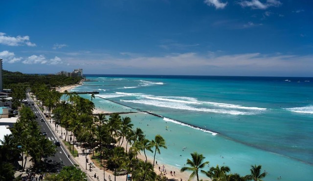 Aqua Aloha Surf Waikiki