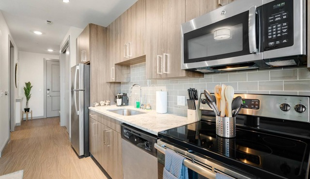 Arlington Trendy Studio Apartment