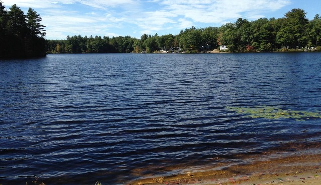 at water's edge on quiet pond