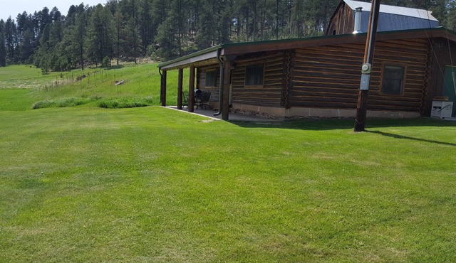 Authentic Black Hills Creekside Cabin