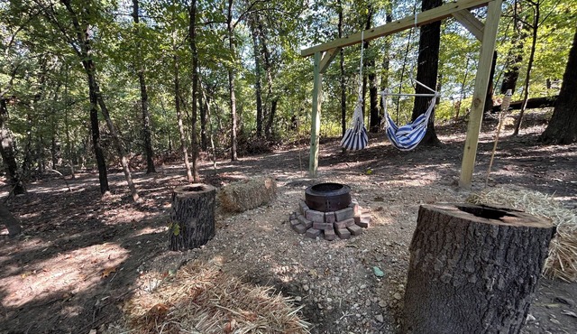 Beach 1 Mile Boat ramp 2 miles! TV, Star-link WiFi, Porch, and fire pits!
