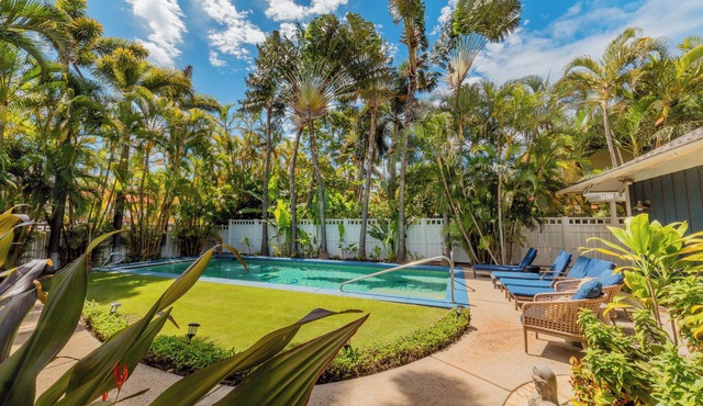 Beachfront 6 Bedrooms with Pool