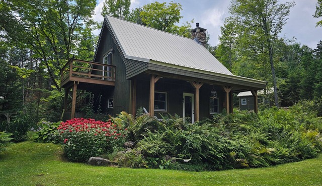 Bear Cub Cabin: An Enchanted Sanctuary