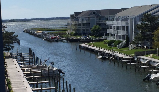BEAUTIFUL & CLEAN! Waterfront condo with epic sunsets and a POOL!