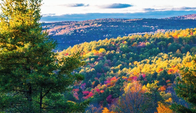 Beautiful Mountaintop Retreat In The Country!