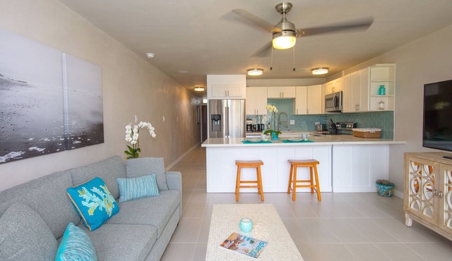 BEAUTIFUL NEW Beach-chic condo with AC 1 mile from Paia & Steps to Mama's Beach