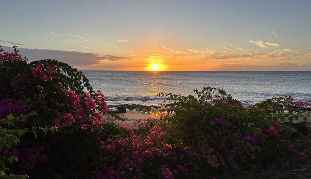Beautiful Ocean-View unit with easy beach access. Ask about vehicle option.