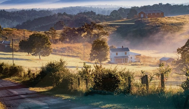 Beautiful, Peaceful Farmhouse Offering The Best Of All Possible Worlds