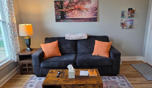 Beautifully Renovated Downtown 1 Bed 1 Bath Apt, Pet Friendly