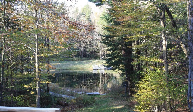 Becket Contemporary Cottage in the Woods Overlooking a Private Spring Fed Pond