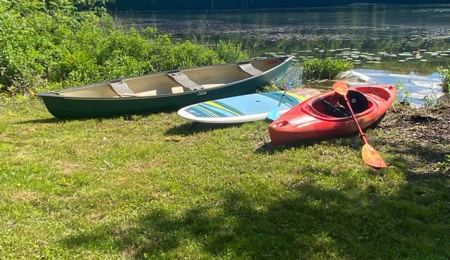 Berkshire Lake at the Pillow, and EV!
