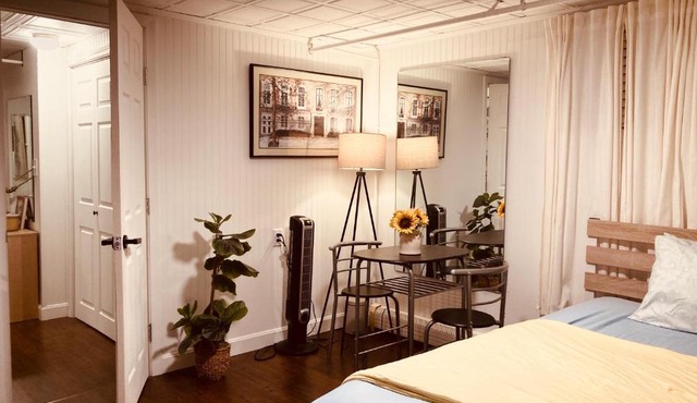 Big Bedroom on Lower Level, 65 inch TV, Netflix, Desk, Dining Table, Framingham Center
