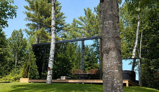 Birch Mirror House at FarAway Pond