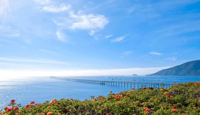 Breathtaking Ocean View! 2 Classy Units, Near Pirates Cove Beach, Pool, Kitchen