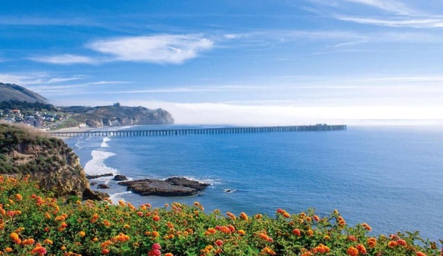 Breathtaking Ocean View! 3 Classy Units, Outdoor Pool, Near Avila Beach Pier