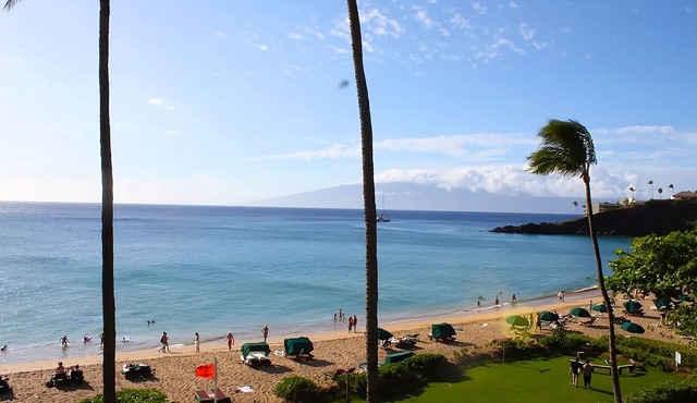 Breathtaking Oceanfront Views! 3 Units, Minutes to Pacific Whale Foundation