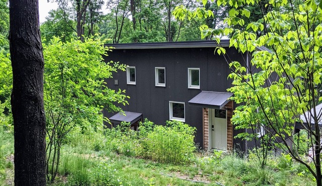 Bright/modern escape : nestled in the forest, walk to the village & train